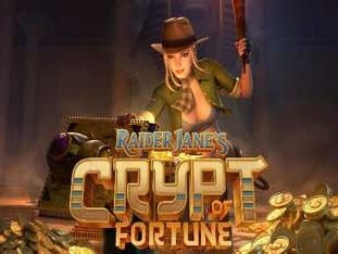 Raider Janes Crypt Of Fortune screenshot