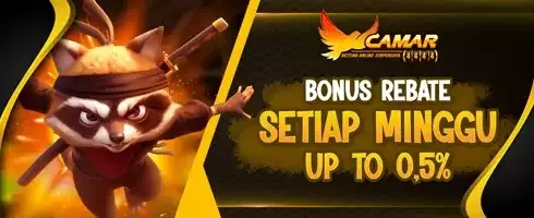 Weekly VIP Rebate Slot promotion